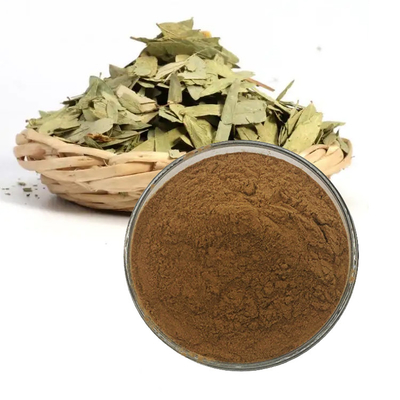 Senna Leaf Extract Powder Folium Sennae Dried Powder with Sennosides