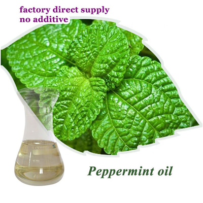 CAS 8006-90-4 Leaves Pure Peppermint Essential Oil Anti Inflammatory